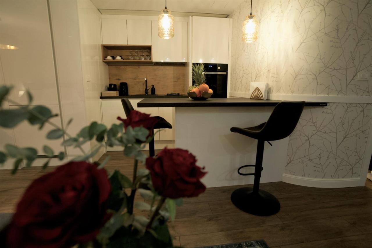 Apartman My Story أوسييك المظهر الخارجي الصورة